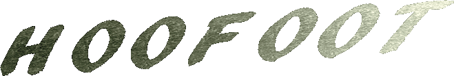 hoofoot.com